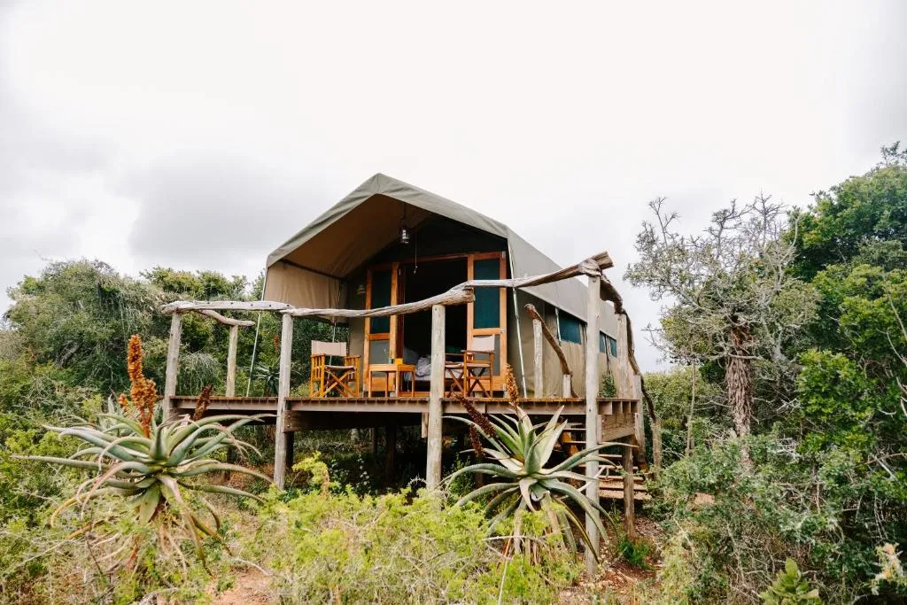 Amakhala Bush Lodge - 2